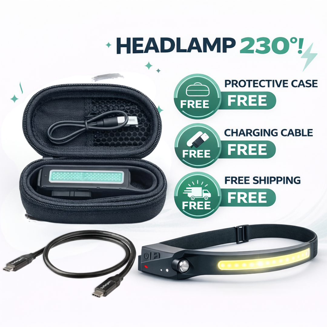 VISELUX Dual Motion Light