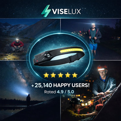 VISELUX Dual Motion Light