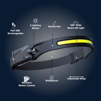 VISELUX Dual Motion Light