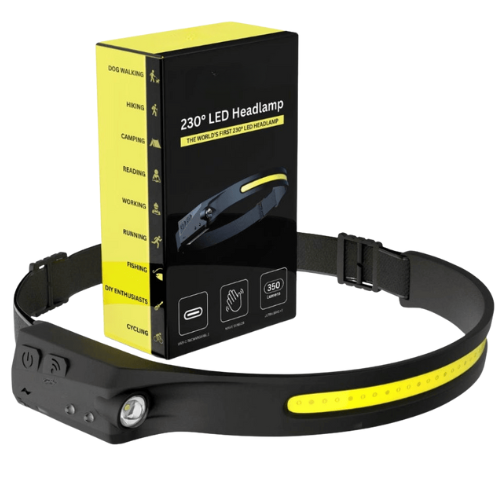 VISELUX Dual Motion Light