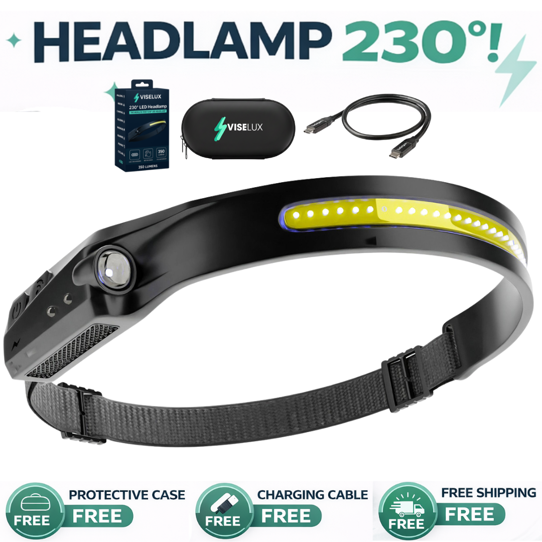 VISELUX Dual Motion Light