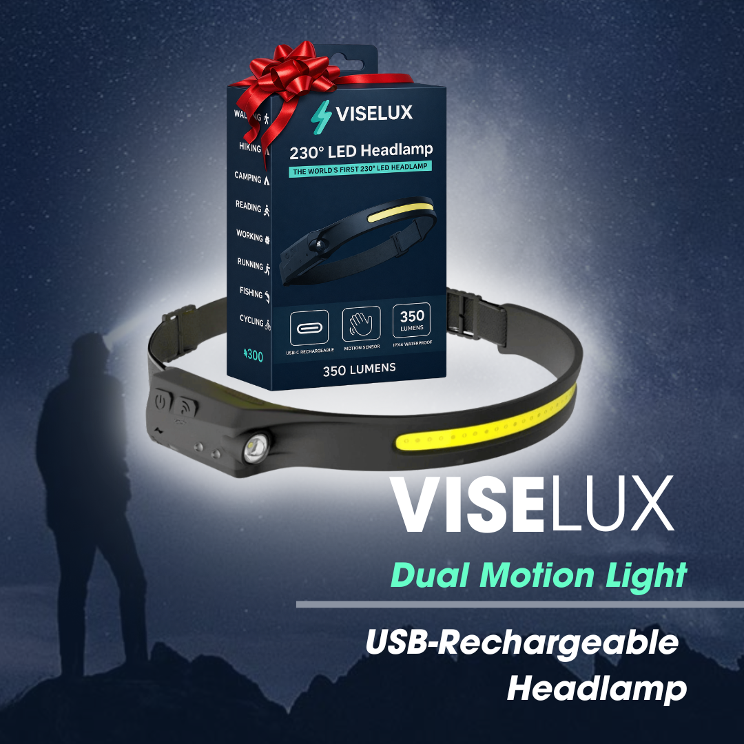 VISELUX Dual Motion Light