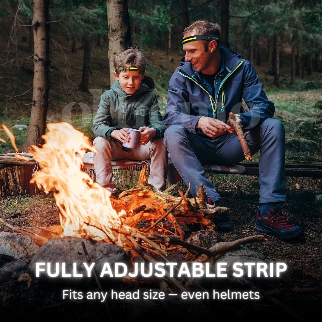 VISELUX Dual Motion Light